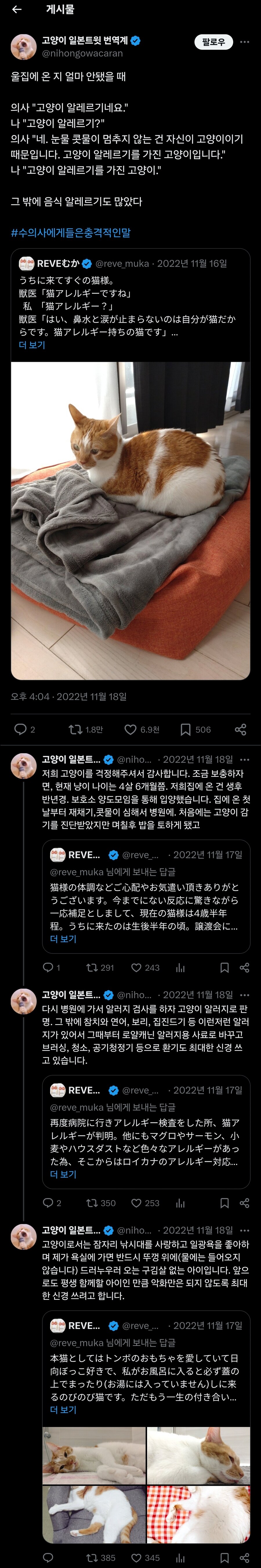 자가면역질환(?)을 가지고 태어났다는 고양이.jpg_2.jpg