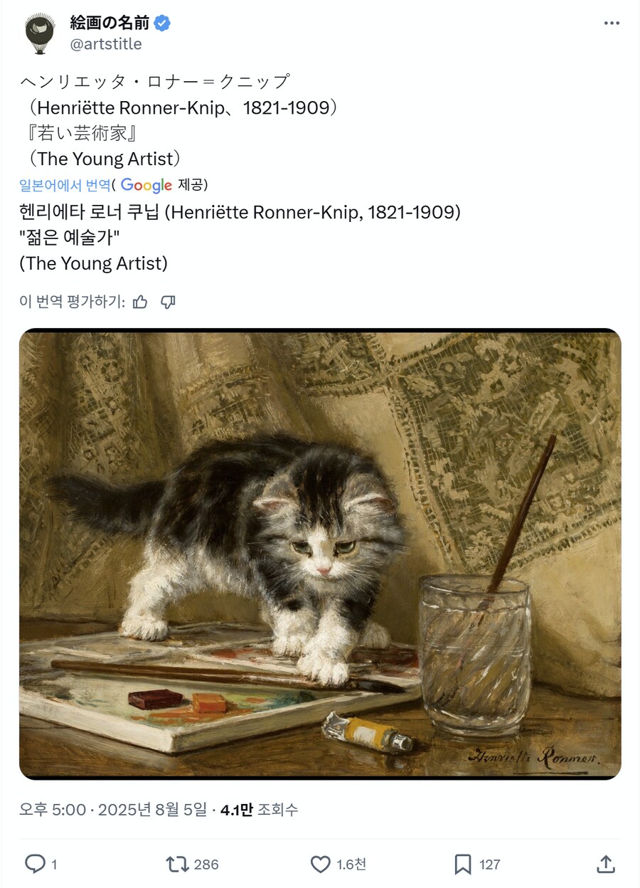 과거에도 귀여웠던 고양이.jpg_1.png