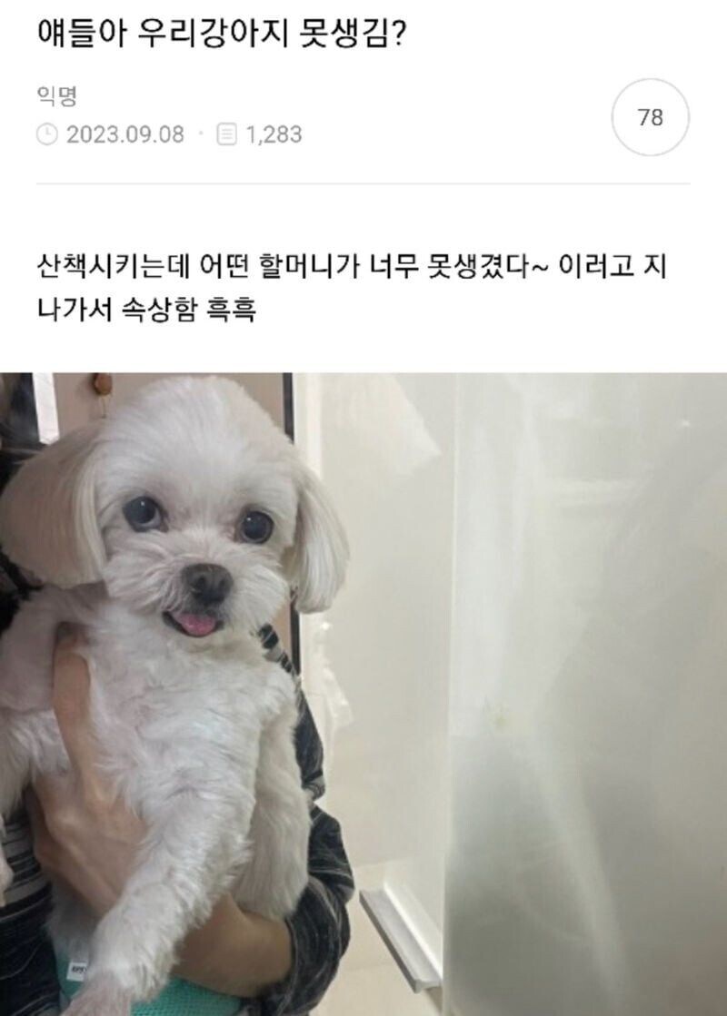 강아지랑 산책갔다가 상처받은 사람_1.jpg