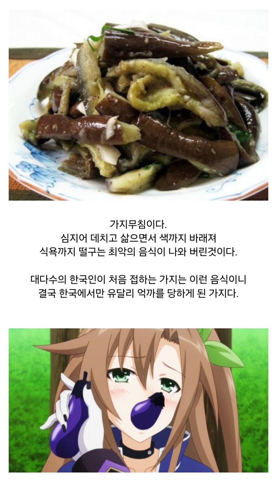 한국에서 유달리 억까를 당하는 식재료_12.jpg