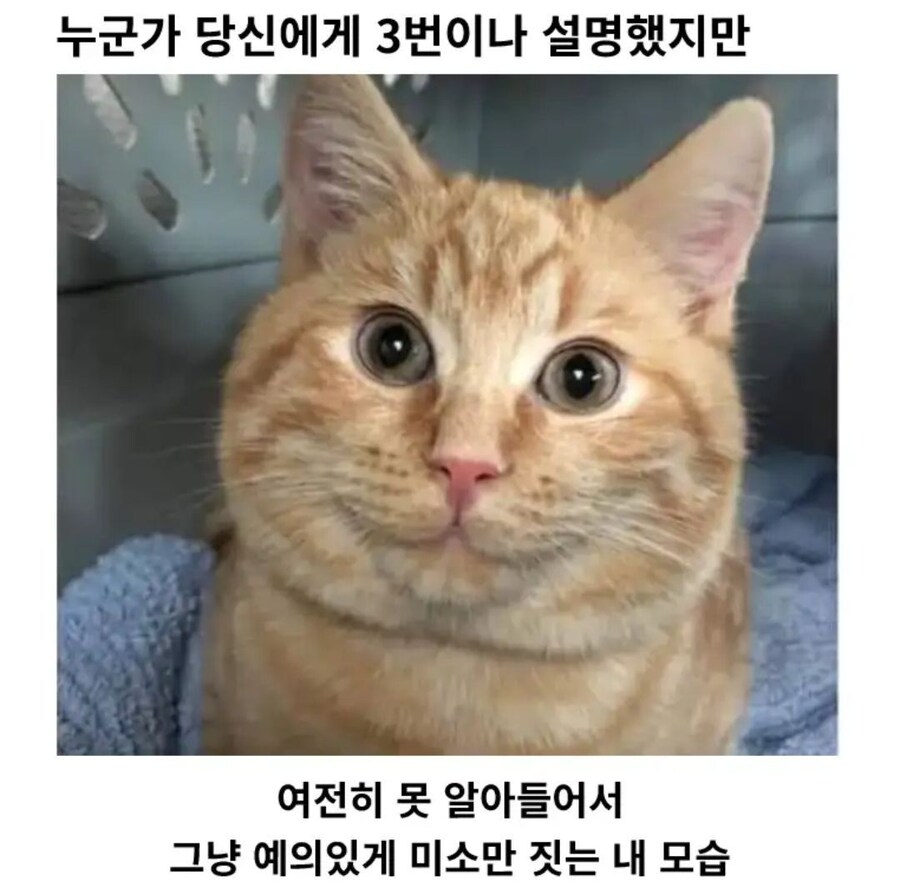 나:완벽히 이해했어!.jpg_1.jpg