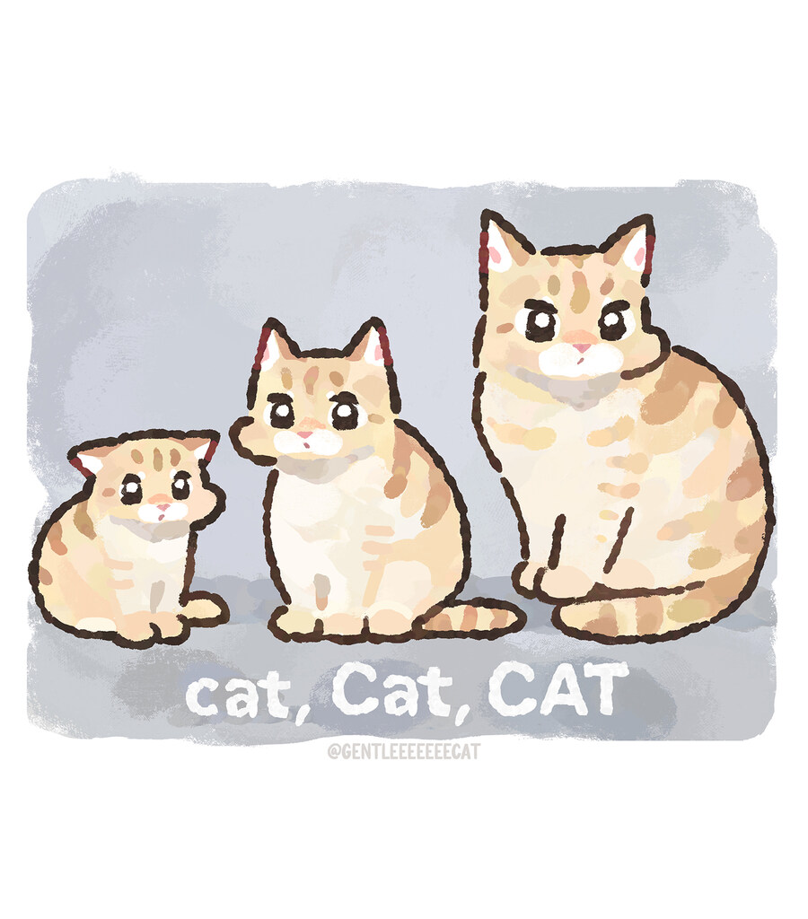 고양이 3마리_1.jpg