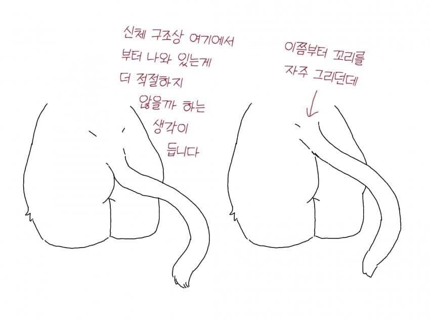 수인 꼬리 위치에 관한 단상_1.jpg