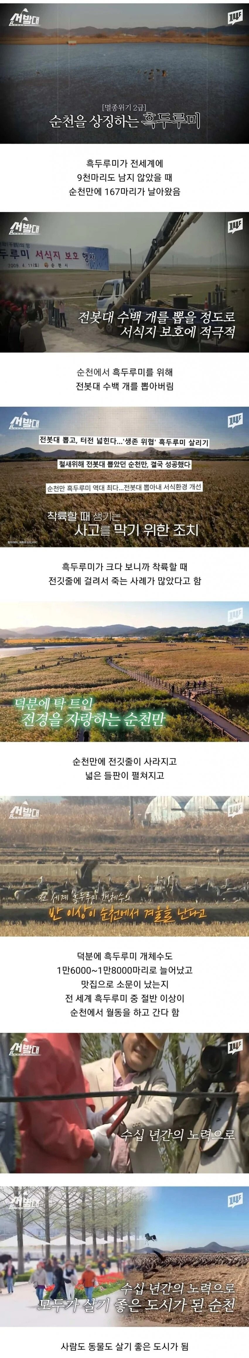 전봇대 수백개를 뽑아 버렸던 순천시 jpg._1.jpg
