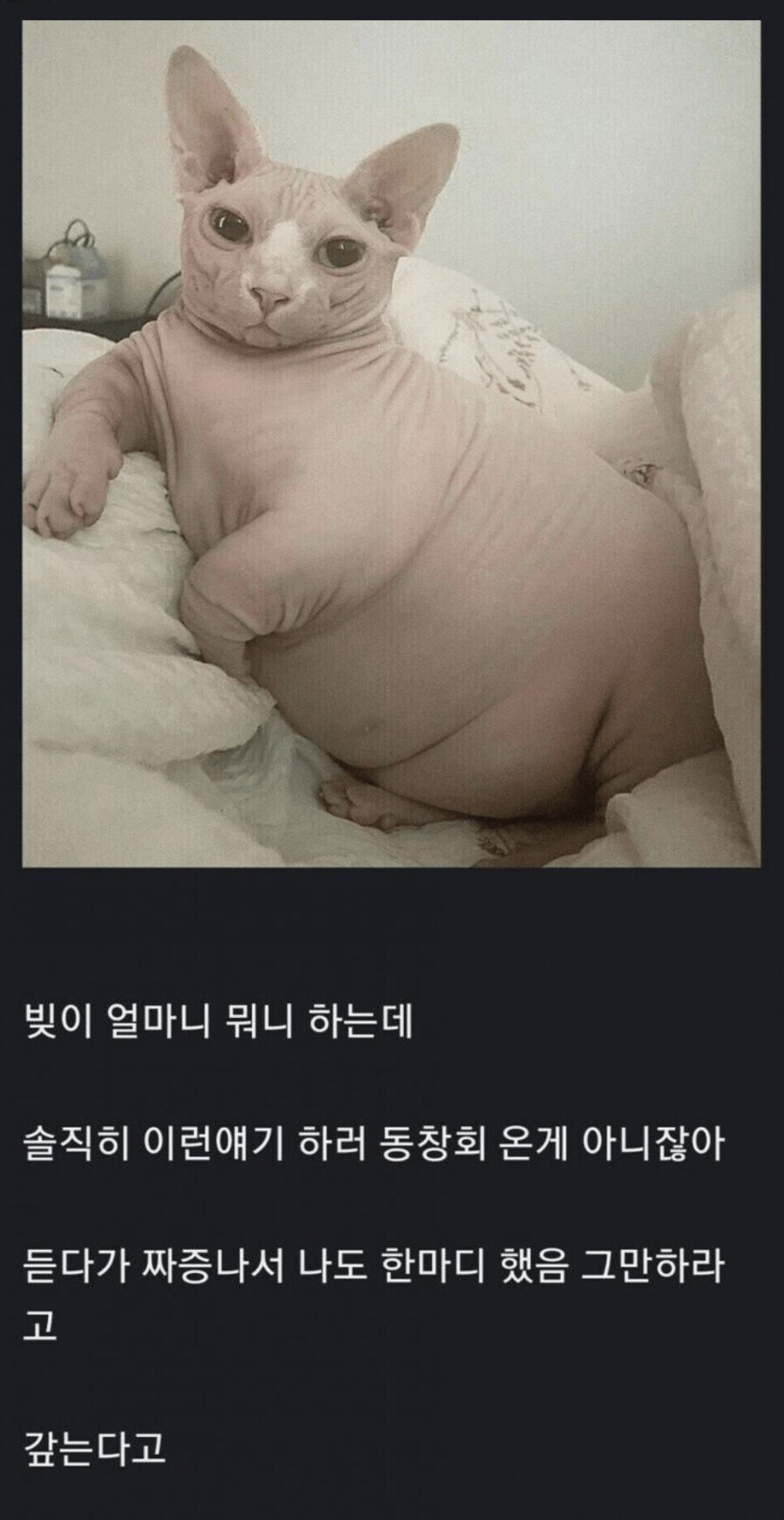 10년만에 동창회 갔는데 다들 돈 얘기 뿐이네.._1.png