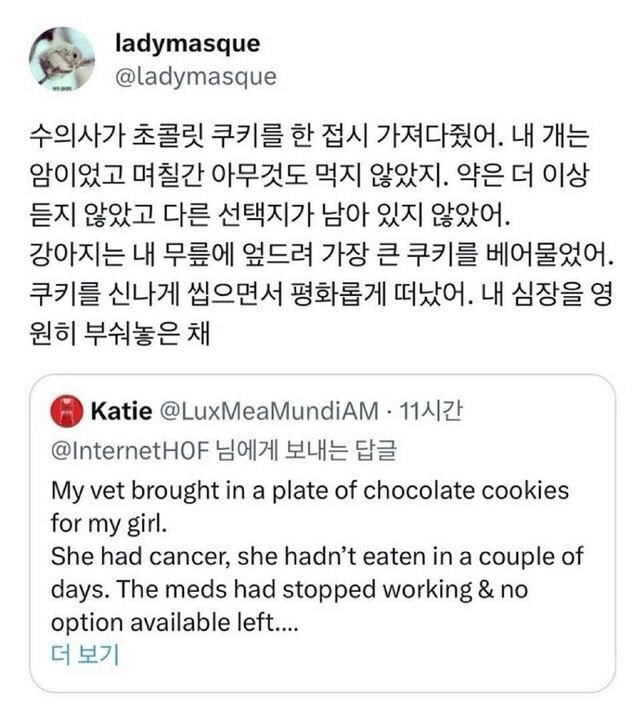 동물병원에 초콜릿 단지가 비치되어 있던 이유.jpg_1.jpg