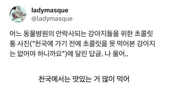 동물병원에 초콜릿 단지가 비치되어 있던 이유.jpg_2.jpg