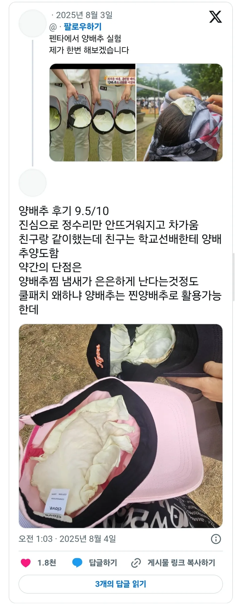 아낌없이 주는 양배추_2.webp