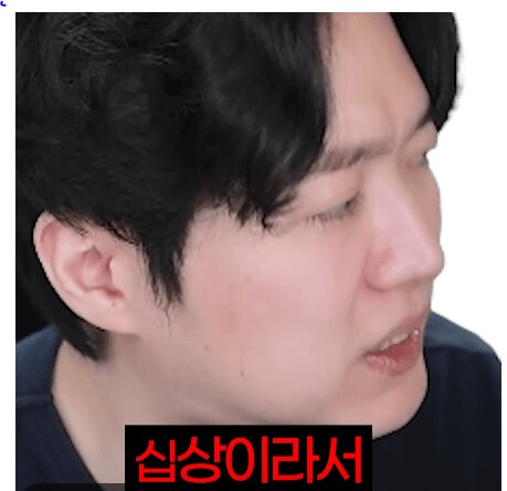 옛날 씹덕 대우 jpg_5.png