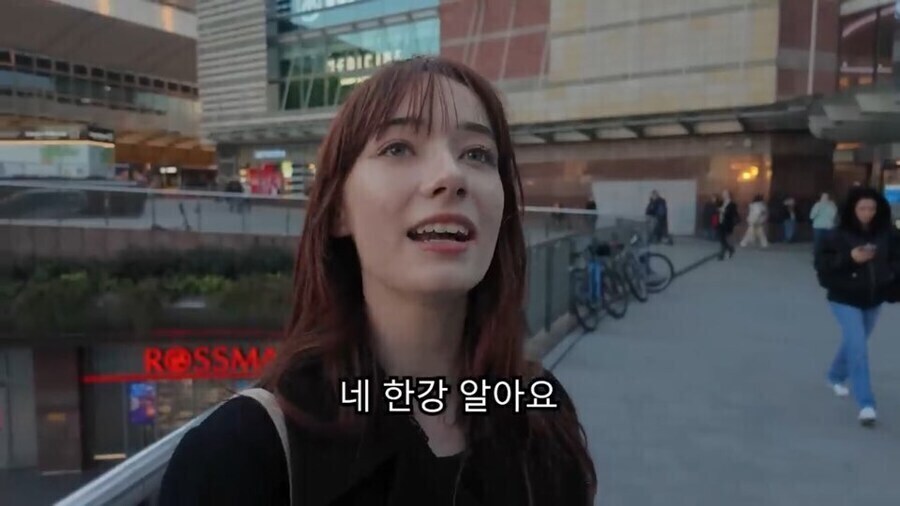 한강 꽁꽁냥이가 입양가서 행복해진게 흐뭇한 이유_6.jpg