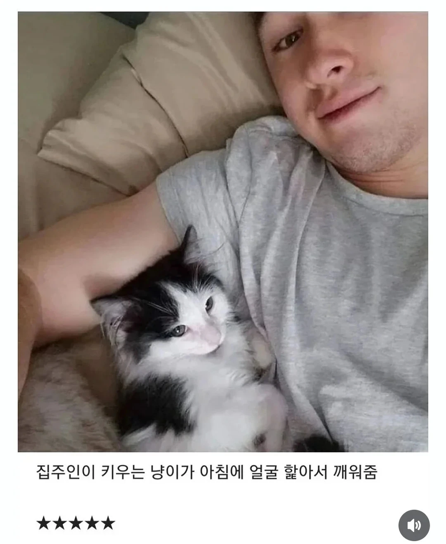 집주인이 핥아주는 에어비앤비_1.webp