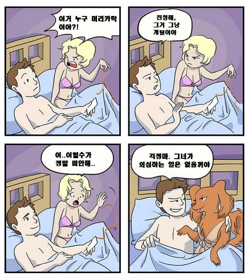 침대에서 다른 년 털이 나옴_1.webp