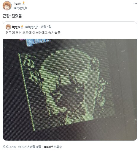 연구에 쓰는 코드에 이스터에그 숨겨놓음_1.png