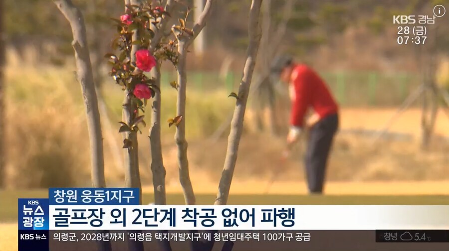 창원 빅트리는 사실 애교임.jpg_2.png
