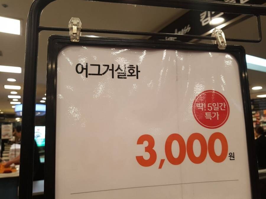 트럼프