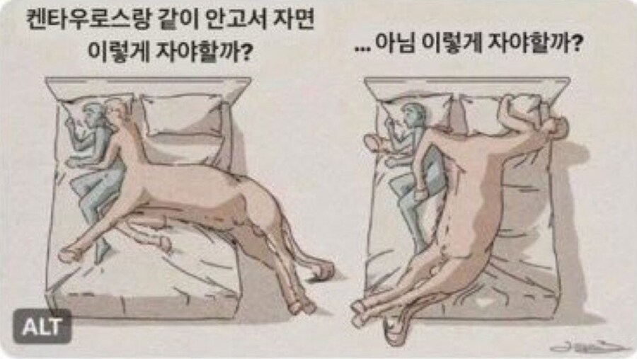 켄타우로스랑 같이 잘때 고민.jpg_1.jpg