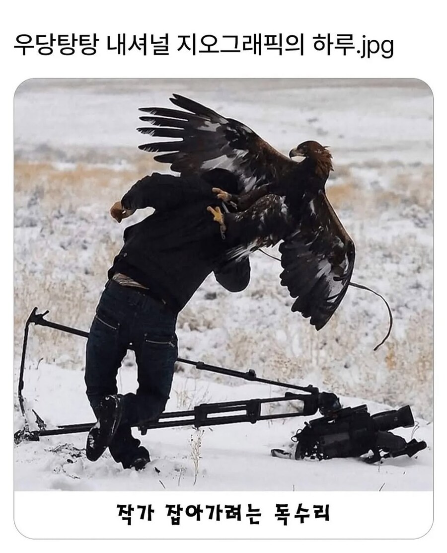 어느 프로의 출연자들과 카메라 감독님_1.jpg