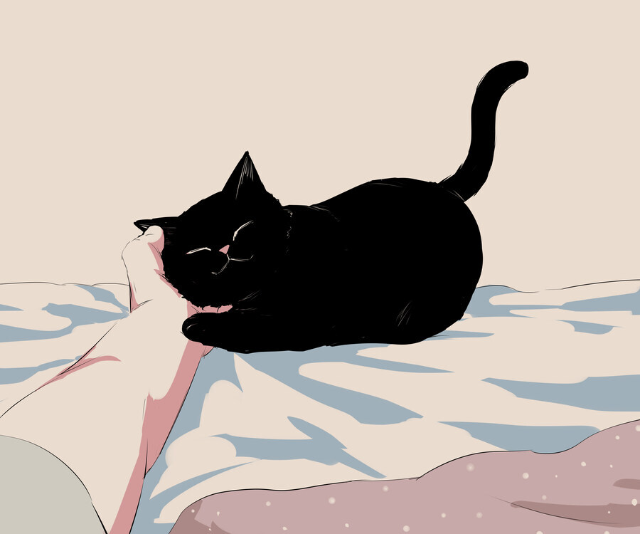 오래 사는 고양이_1.jpg