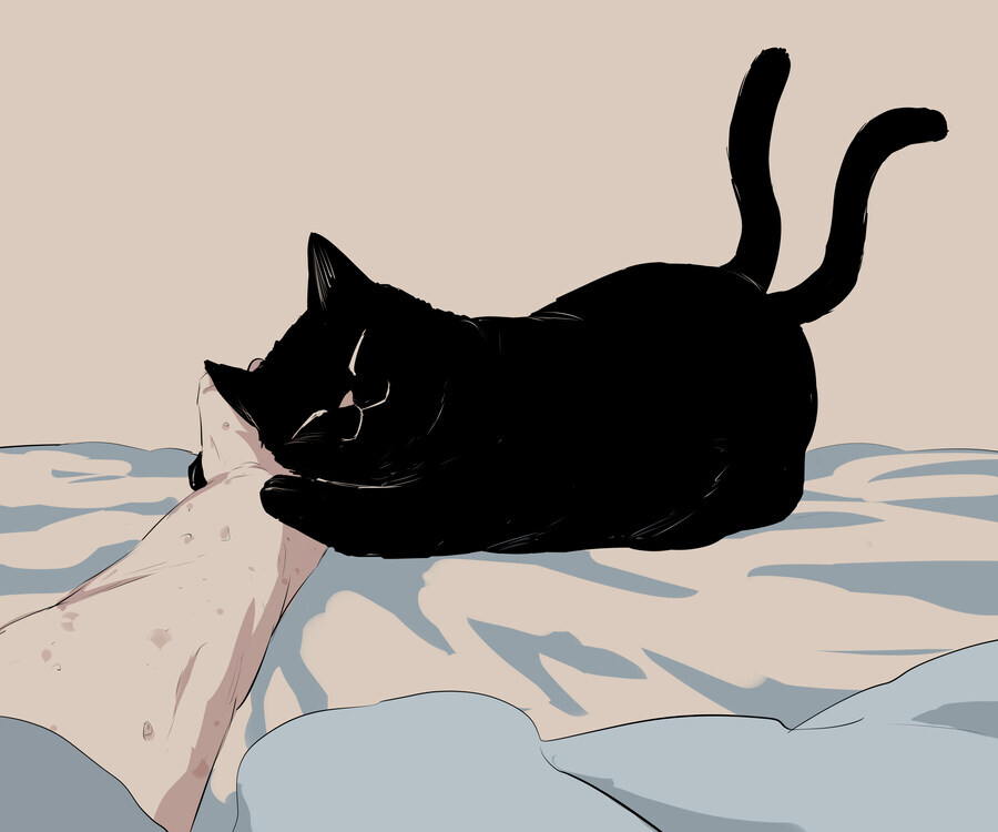 오래 사는 고양이_2.jpg