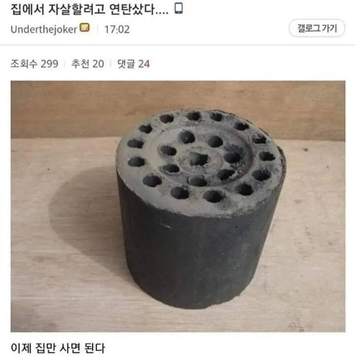 집에서 자살하려고 연탄 구매한 디씨인.jpg_1.jpg