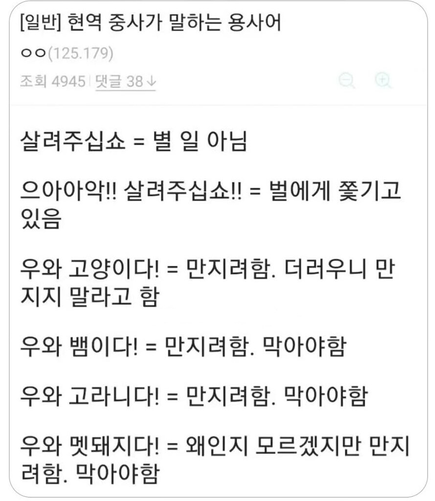 현역 중사가 말하는 병사들의 언어 해석본_1.jpg