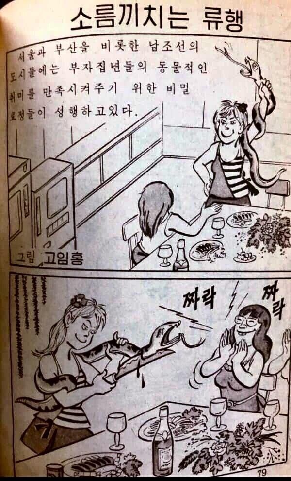 남조선 부르주아 간나들의 소름끼치는 류행_1.jpg