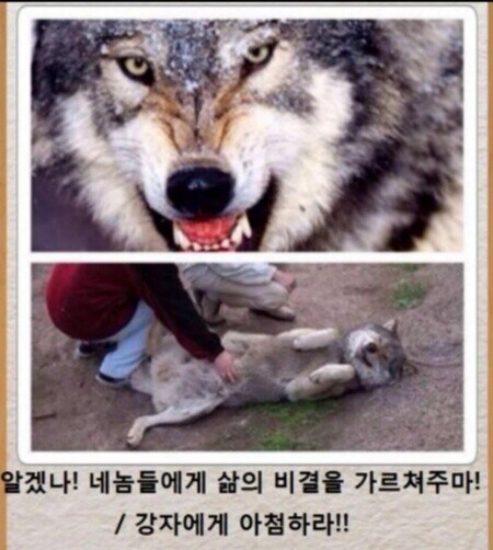 삶의 비결_1.jpg