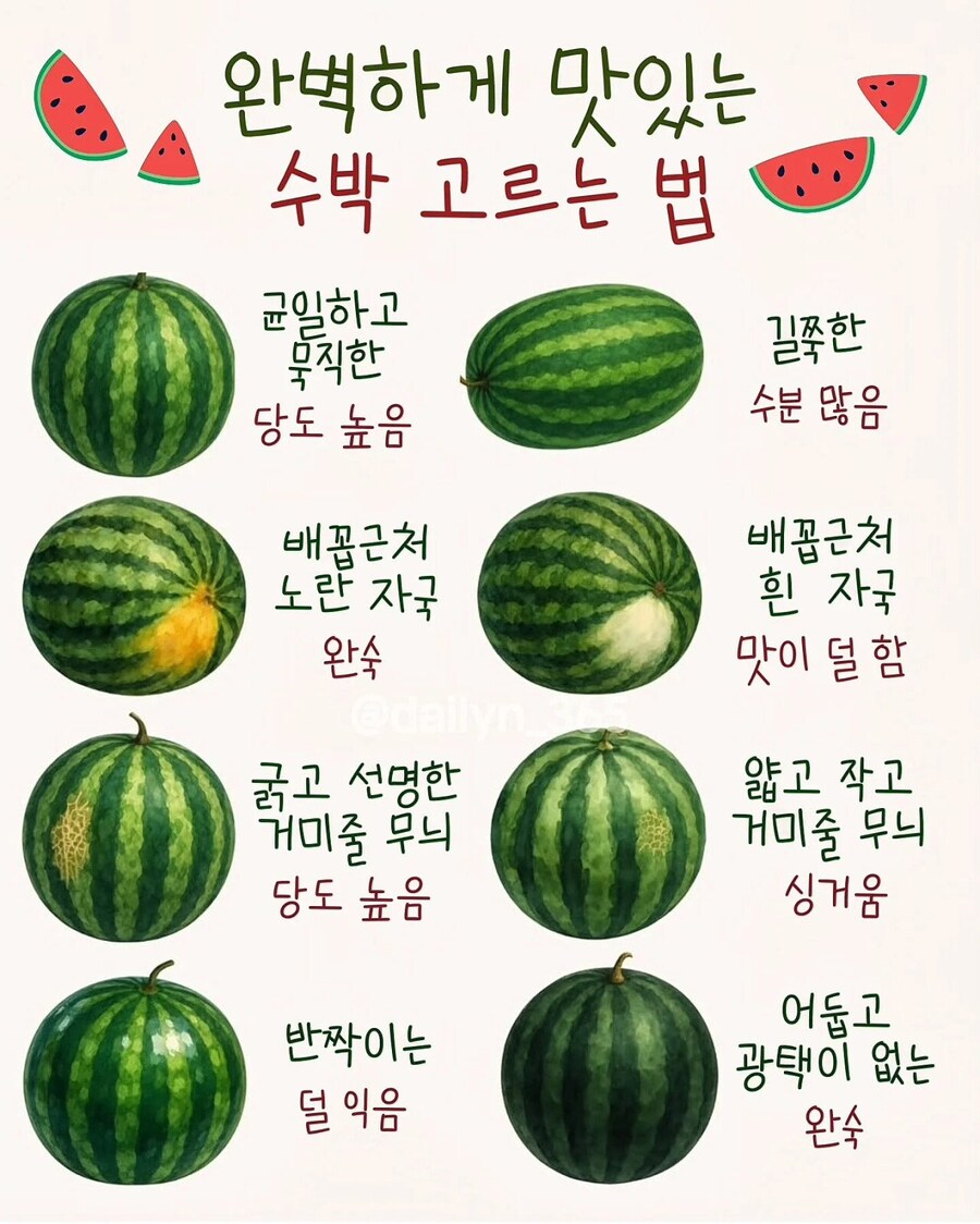 시즌 N번째 맛있는 수박 고르는 팁.jpg_1.jpg