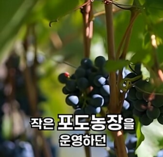 가난한 농부의 딸의 아들의 아들_1.png
