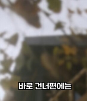 가난한 농부의 딸의 아들의 아들_4.png