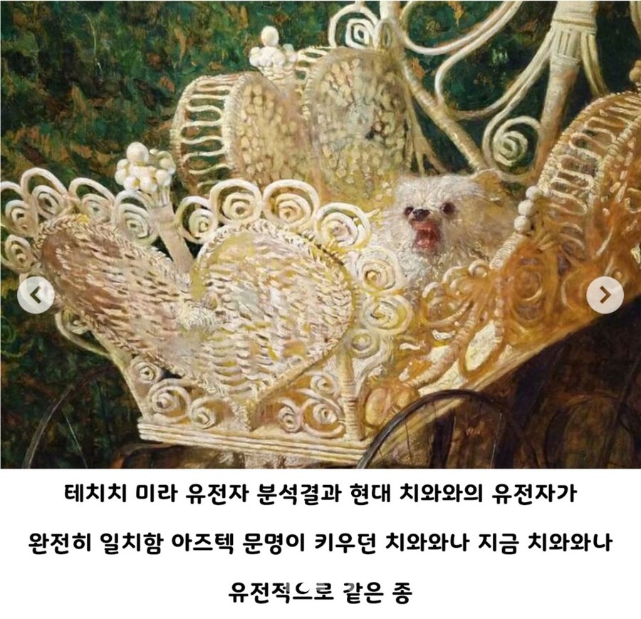 근본있는 성깔머리.jpg_2.jpg