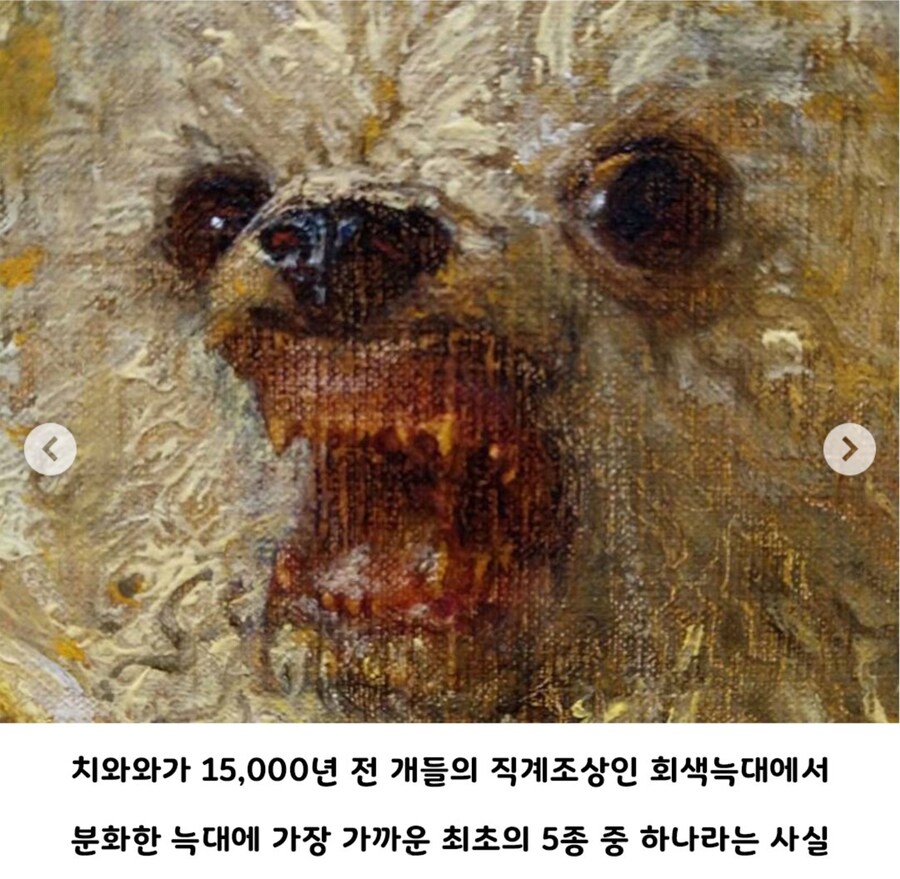 근본있는 성깔머리.jpg_3.jpg