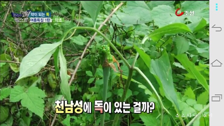 독초와 약초는 종이 한장 차이_1.png