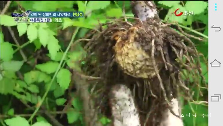 독초와 약초는 종이 한장 차이_5.png