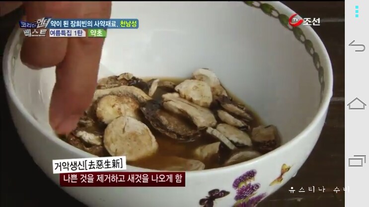 독초와 약초는 종이 한장 차이_10.png
