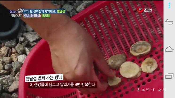 독초와 약초는 종이 한장 차이_11.png