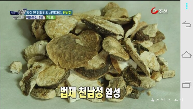 독초와 약초는 종이 한장 차이_12.png