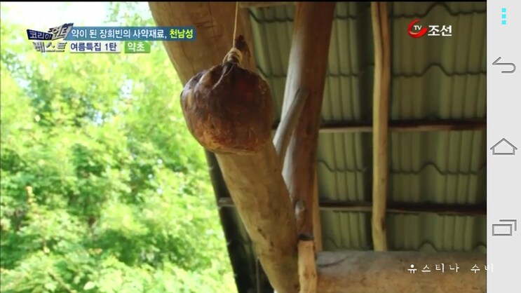 독초와 약초는 종이 한장 차이_20.png