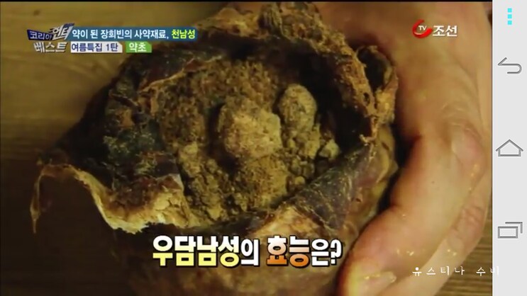 독초와 약초는 종이 한장 차이_21.png
