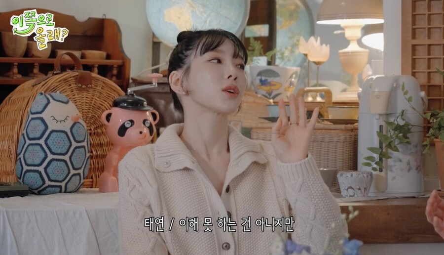 태연이 음악 방송에 안나가는 이유_5.jpg