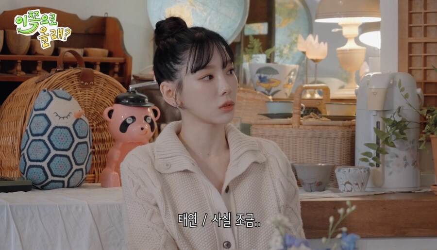 태연이 음악 방송에 안나가는 이유_7.jpg