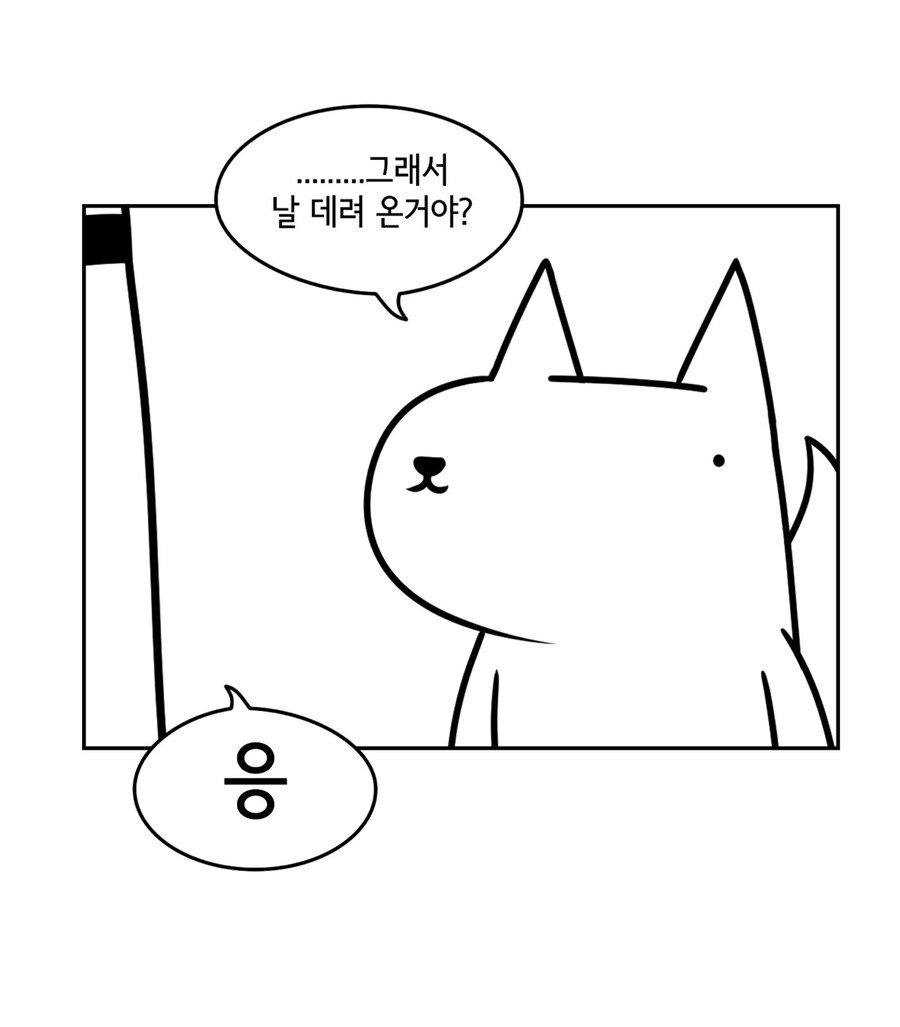 진돌작가가 결혼을 잘한 이유_3.jpg