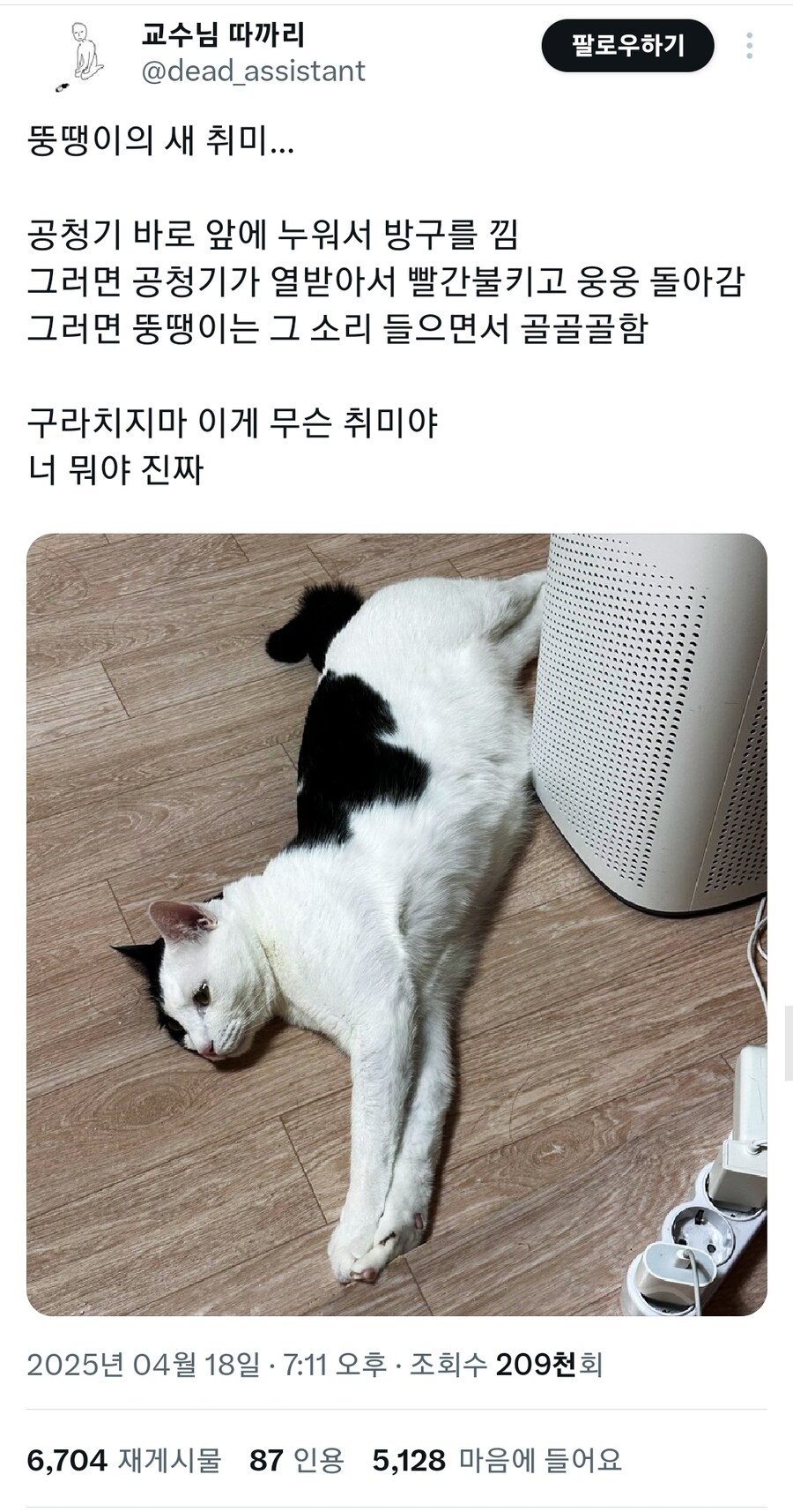 고양이의 새 취미_1.jpg