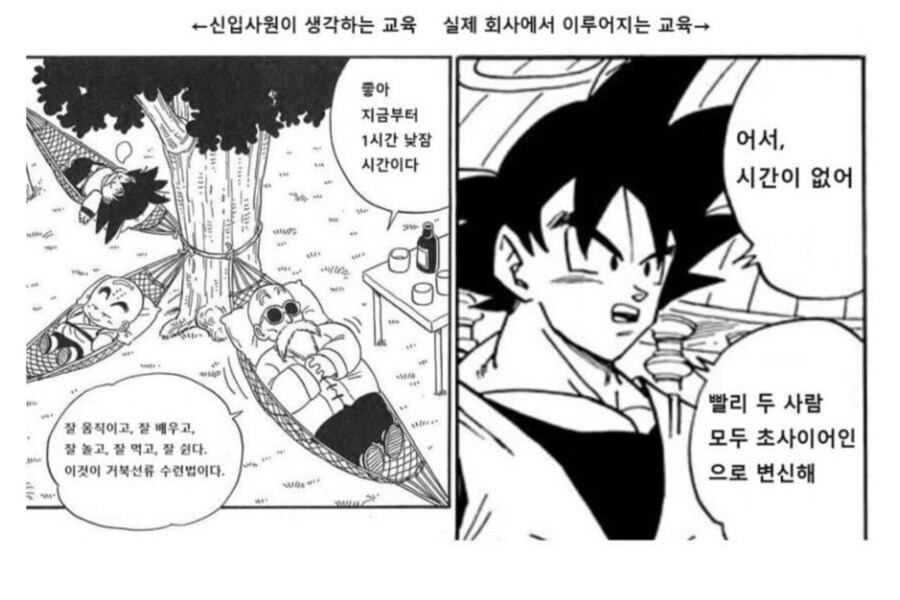 신입들이 느끼는 회사의 교육.jpg_1.jpg
