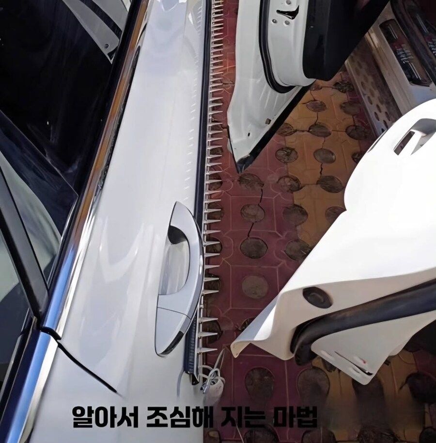 문콕 절대 안 당하는 광기의 방법.jpg_2.jpg
