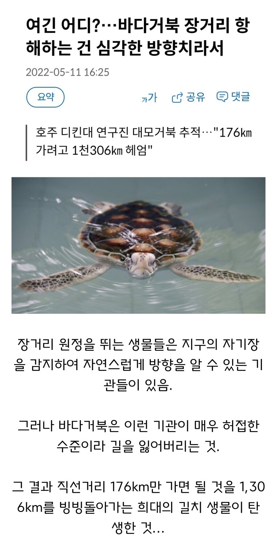 고작 1,306km의 헤매임이었을 뿐이다.jpg_1.jpg