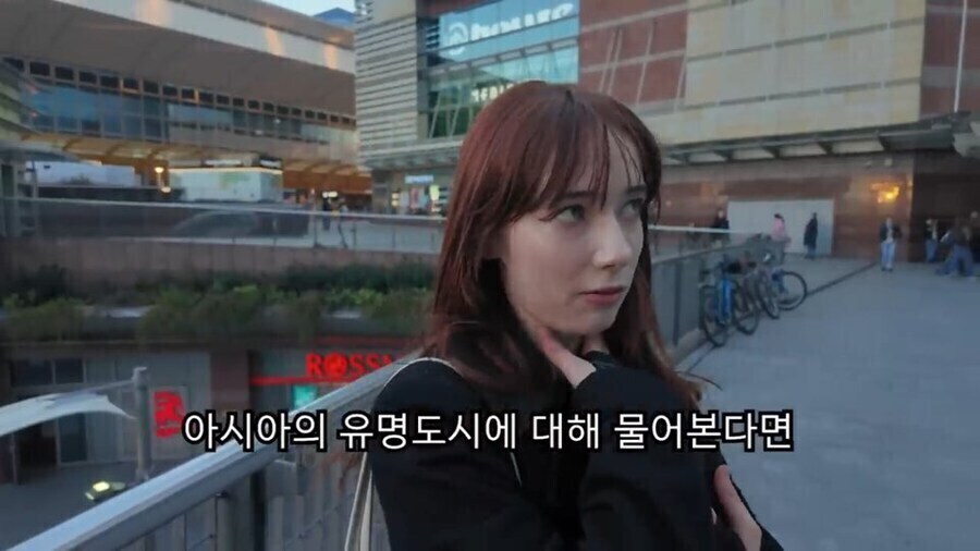 한강 꽁꽁냥이가 입양가서 행복해진게 흐뭇한 이유_1.jpg