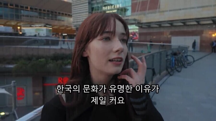 한강 꽁꽁냥이가 입양가서 행복해진게 흐뭇한 이유_3.jpg