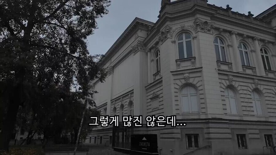 한강 꽁꽁냥이가 입양가서 행복해진게 흐뭇한 이유_5.jpg