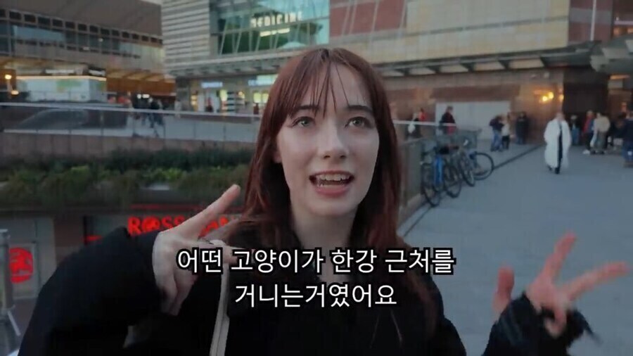 한강 꽁꽁냥이가 입양가서 행복해진게 흐뭇한 이유_8.jpg